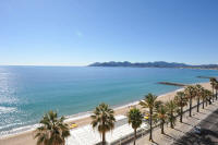 Cannes Rentals, rental apartments and houses in Cannes, France, copyrights John and John Real Estate, picture Ref 170-04