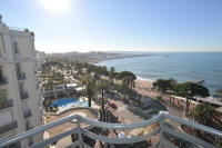 Cannes Rentals, rental apartments and houses in Cannes, France, copyrights John and John Real Estate, picture Ref 290-02