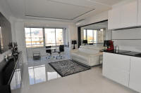 Cannes Rentals, rental apartments and houses in Cannes, France, copyrights John and John Real Estate, picture Ref 347-02